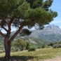 Montagne Sainte-Victoire (Crédits : Léa Charbonnier)