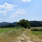 Balade de Rognes (Crédits : Léa Charbonnier)