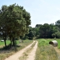 Sentier de la balade de Jouques (Crédits : Léa Charbonnier)