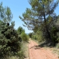 Balade des ocres de Gargas (Crédits : Léa Charbonnier)