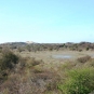 Sentier de la dune Marchand (Crédits : Ecobalade)