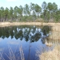 Ecobalade de Brocas - Landes (Credit: Jérôme Fouert-Pouret)