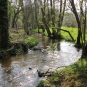 L'Arboretum de Carnivet-Quessoy