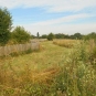 Friche-balade-Vitry-Parc-Lilas-Val-de-Marne