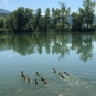 Balade de Volonne - le tour du lac (Crédits : Olivier Rovellotti)