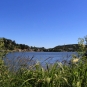 Lac Chambon (Crédits: Thibault Rudel - Natural Solutions)