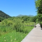 Sentier sur pilotis dans la zone humide (Crédits: Thibault Rudel - Natural Solutions)