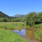 Frayère à poisson et les Monts Dore (Crédits: Thibault Rudel - Natural Solutions)