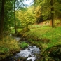 Paysage - Parc animalier de Fougerolles Saint-Valbert (Crédits : Sabine Meneut)