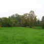 Prairie-balade-Vitry-Parc-Lilas-Val-de-Marne