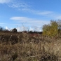 Prairie-non-paturée-balade-Vitry-Parc-Lilas-Val-de-Marne.