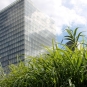Balade nature de Paris (Crédits : Léa Charbonnier)