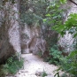 Parcours très encaissé mais riche en végétation (Crédits photos: Elian Gossiome) 