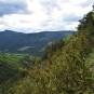 Balade de l'Epine - Pays du Buëch - entre Sisteron et Serre-Ponçon (Crédits : Sabine Meneut)