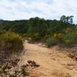 Balade de Cavalaire-sur-mer (Crédits : Sabine Meneut)