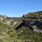 Minerve (Crédits: Sabine Meneut)