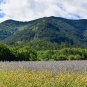 Vallée du Toulourenc (crédits Natural Solutions)