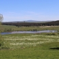 Tourbières du Jolan et de la Gazelle (Crédit : Laura Azzolina)