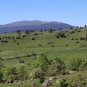 Estives du plateau de Chastel-sur-Murat (Crédit : Laura Azzolina)