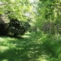 L'Arboretum de Carnivet-Quessoy