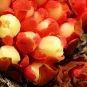 Cytinet (crédit: liliane - Tela Botanica)