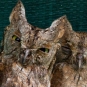 Petit-duc scops